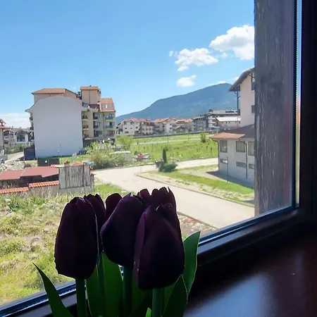 Daire Your Perfect Mountain Escape Awaits In Bansko *